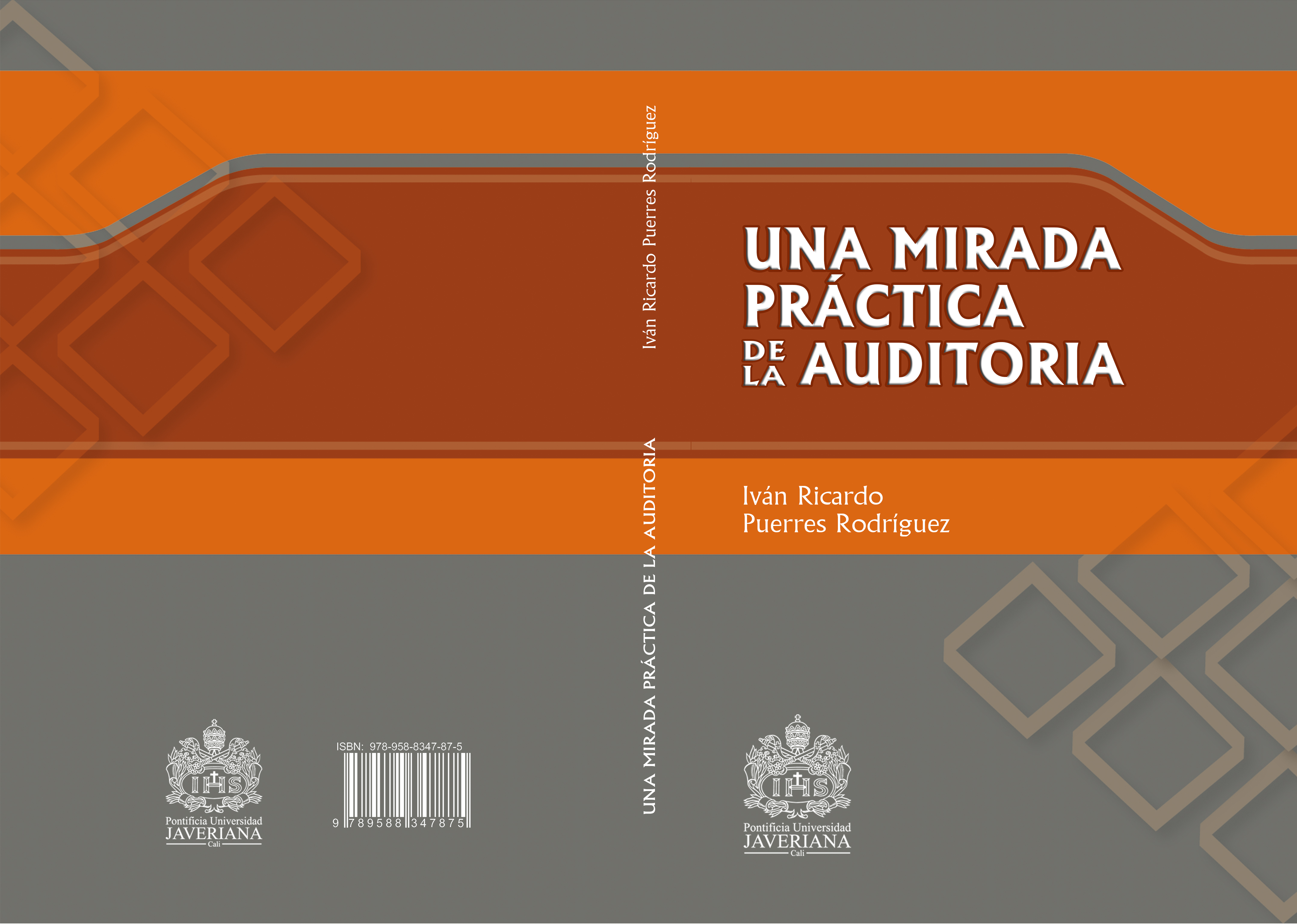 Una mirada práctica de la auditoría