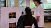 Muralismo y fotografía, una oda a la biodiversidad de la Javeriana Cali que engalana los pasillos del Centro Comercial Jardín Plaza Muralismo y fotografía, una oda a la biodiversidad de la Javeriana Cali que engalana los pasillos del Centro Comercial Jardín Plaza