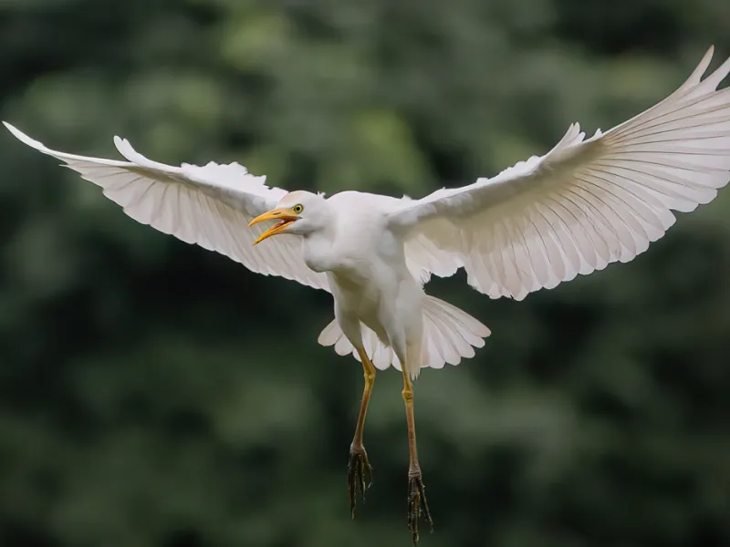 Foto de Kevin Ocampo Cuellar Foto de Kevin Ocampo Cuellar