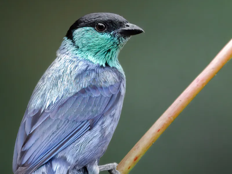 Foto de Kevin Ocampo Cuellar Foto de Kevin Ocampo Cuellar