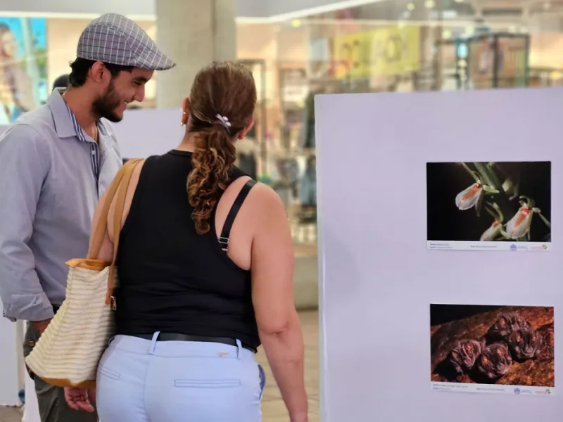 Muralismo y fotografía, una oda a la biodiversidad de la Javeriana Cali que engalana los pasillos del Centro Comercial Jardín Plaza Muralismo y fotografía, una oda a la biodiversidad de la Javeriana Cali que engalana los pasillos del Centro Comercial Jardín Plaza