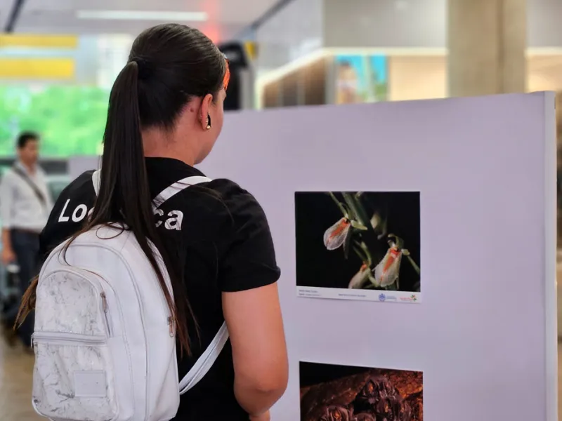 Muralismo y fotografía, una oda a la biodiversidad de la Javeriana Cali que engalana los pasillos del Centro Comercial Jardín Plaza Muralismo y fotografía, una oda a la biodiversidad de la Javeriana Cali que engalana los pasillos del Centro Comercial Jardín Plaza