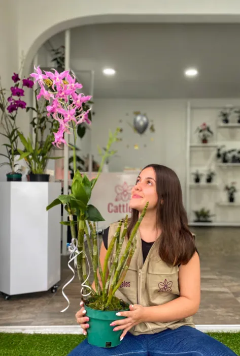 Cattleya, el emprendimiento de orquídeas que sirve como puente entre lo científico y la comunidad Cattleya, el emprendimiento de orquídeas que sirve como puente entre lo científico y la comunidad